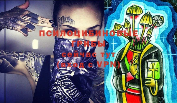 гидропоника Алзамай