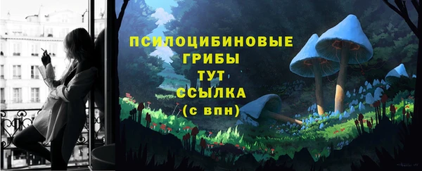 гидропоника Алзамай