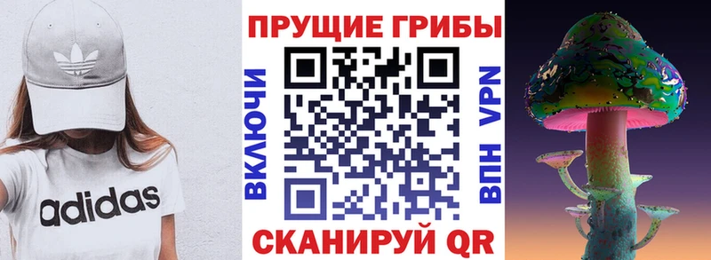 Галлюциногенные грибы мухоморы  Дно 