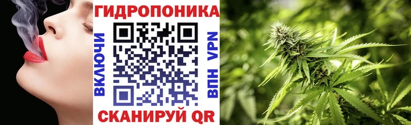 hydra ссылка  что такое наркотик  Дно  Марихуана планчик 